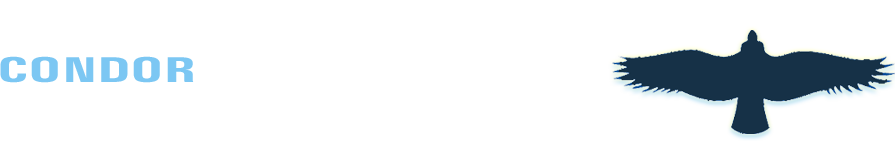 Condor Technology logo